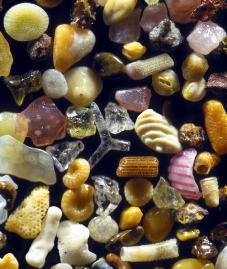Maginified Sand Grains