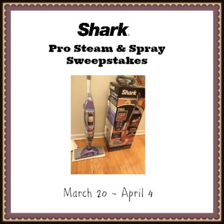 Shark Pro Steam and Spray