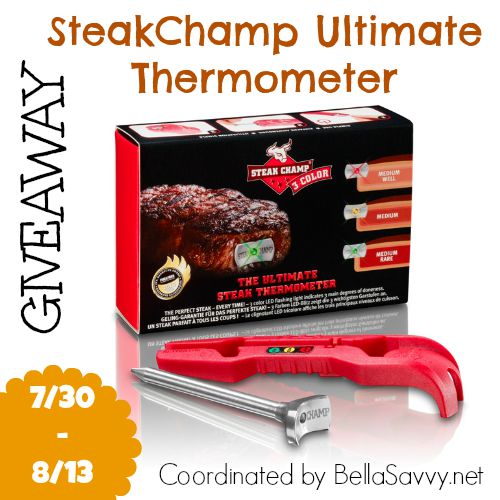 SteakChamp Intelligent Steak Thermometer Take Control of How You Cook Your Meat with this Giveaway - Ends 8/13