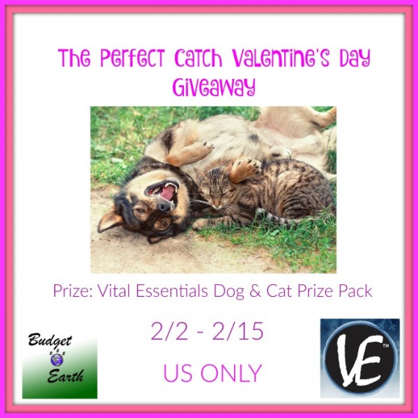 Perfect Catch Valentine's Day Giveaway - Treats for the Pets Ends 2/15 Good Luck from A Medic's World