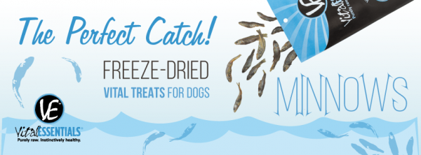 Perfect Catch Valentine's Day Giveaway - Treats for the Pets Ends 2/15 Good Luck from A Medic's World