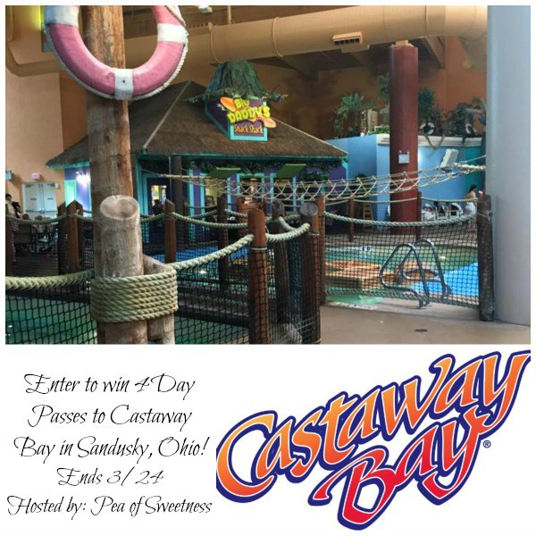 Win a set of 4 Day Passes to Castaway Bay at Cedar Point Ends 3/24 Good Luck from Tom's Take On Things