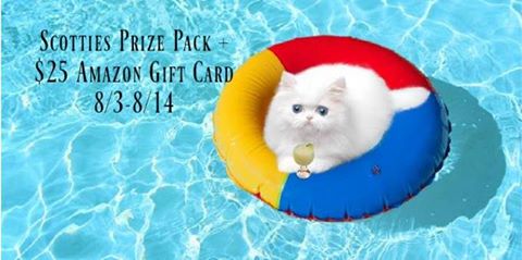 Win a $25 Amazon Gift Card ~ Ends 8/14