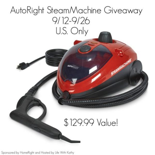 Giveaway for a AutoRight SteamMachine - What do you need to clean?