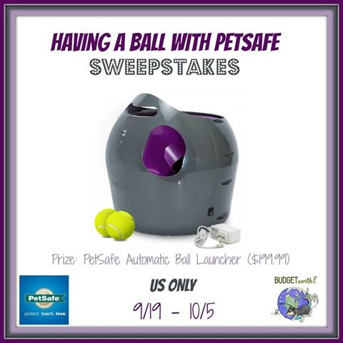 PetSafe Automatic Ball Launcher Giveaway - Keep your dogs happy!