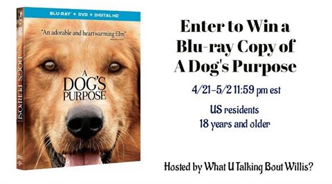 A Dog's Purpose DVD Giveaway
