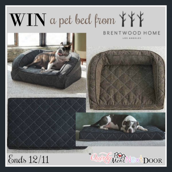 Brentwood Home Pet Bed Giveaway Ends 12/11