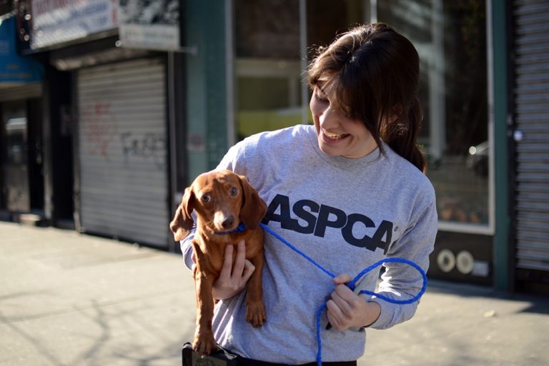 Five Simple Ways to Eat a More Humane and Healthy Menu - Giveaway Too! ASPCA Prize Pack Ends 12/21