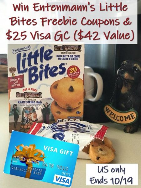 $25 Visa Gift Card Giveaway - Enter to win! Ends 10/19