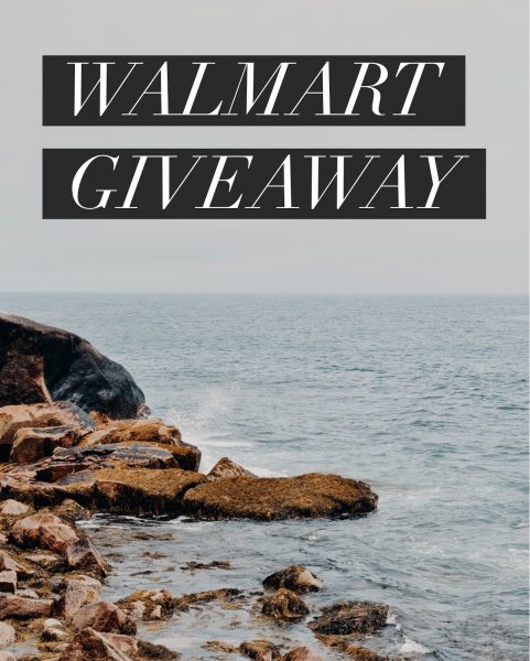 $100 Walmart Gift Card Giveaway Ends on 10/10 and you can win this! Good Luck!