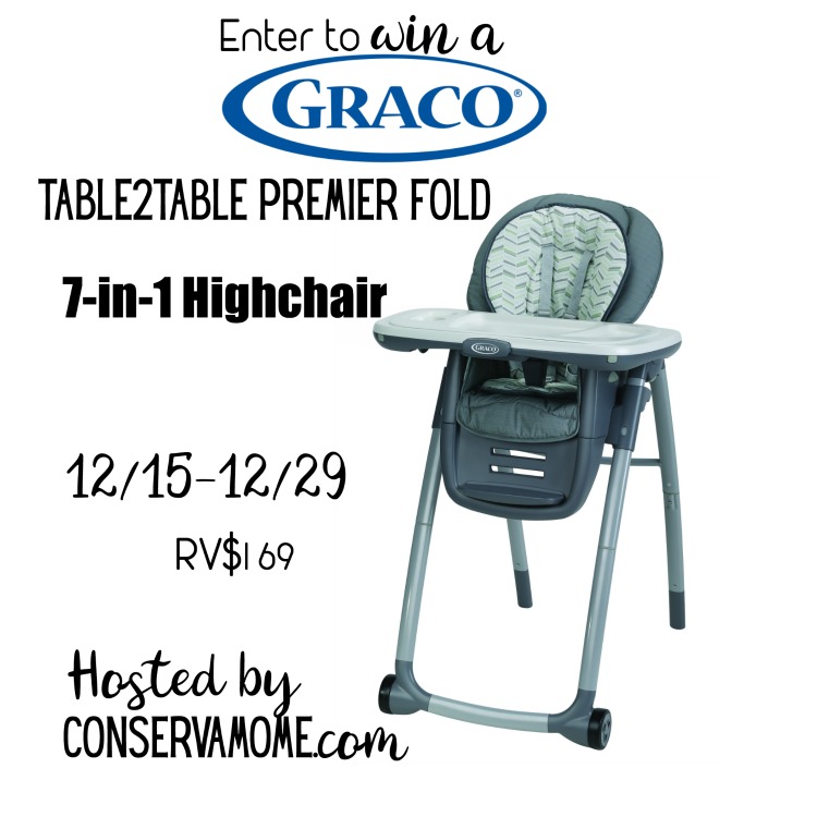 Graco 7-in-1 Highchair Giveaway Ends on 12/29 Keep the young ones safe while eating and easy to convert.  Good Luck. 
